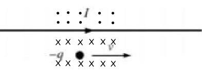 Bottom Image