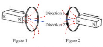 Bottom Image