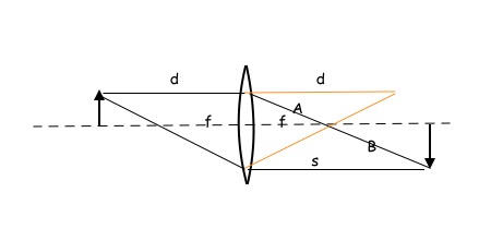 Bottom Image